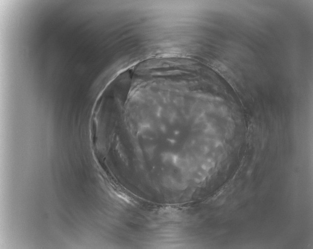 X0000068770290200605121709