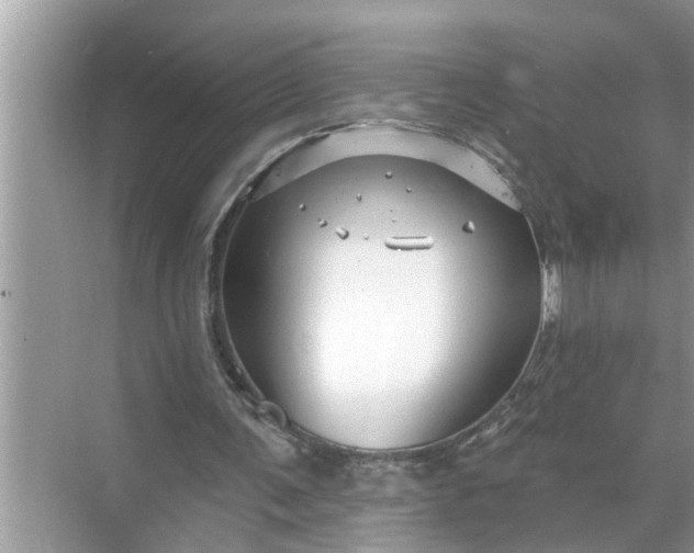 X0000068770291200605121709