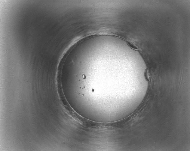 X0000068770292200605121709