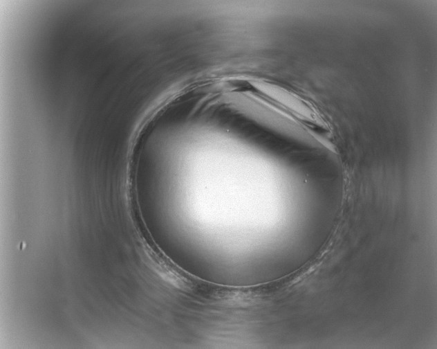 X0000068770293200605121709