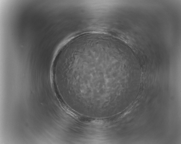 X0000068770294200605121709