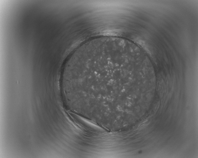 X0000068770299200605121709