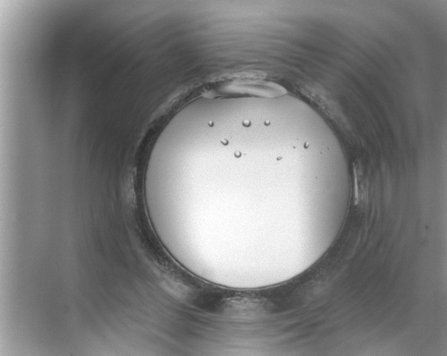 X0000068770300200605121709