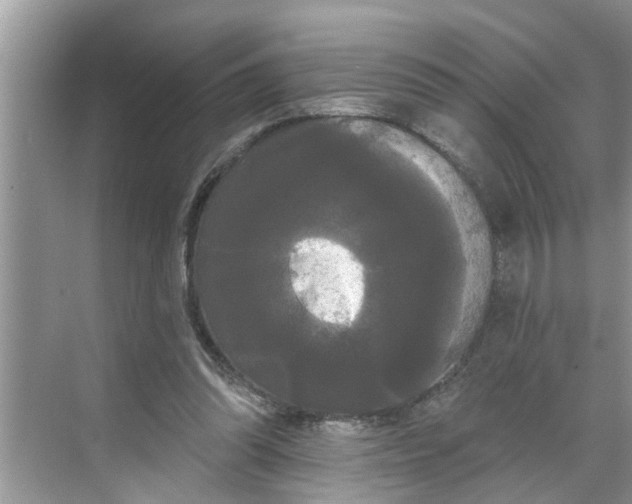 X0000068770302200605121708