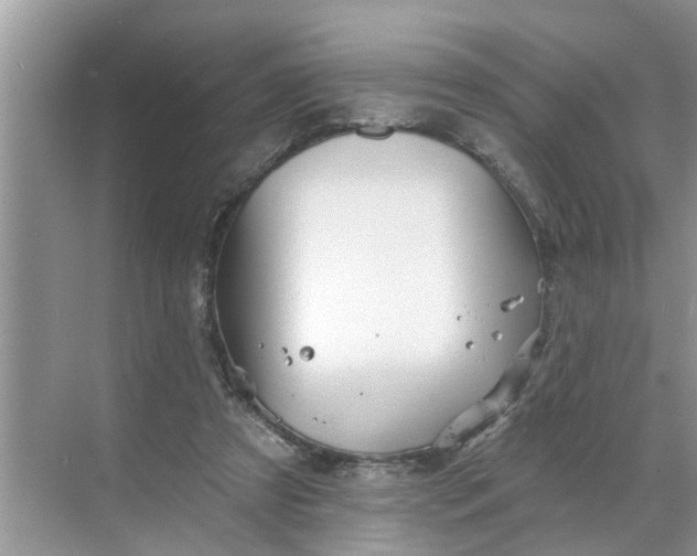 X0000068770305200605121708