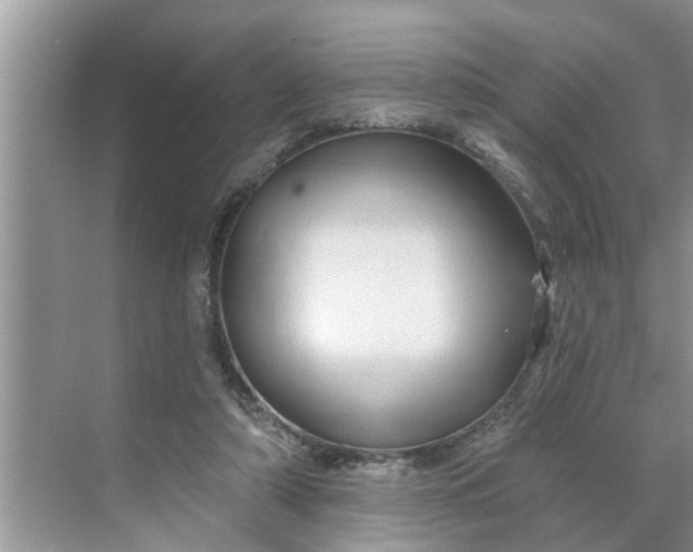 X0000068770306200605121708