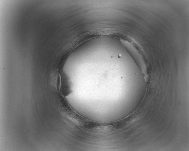 X0000068770307200605121708