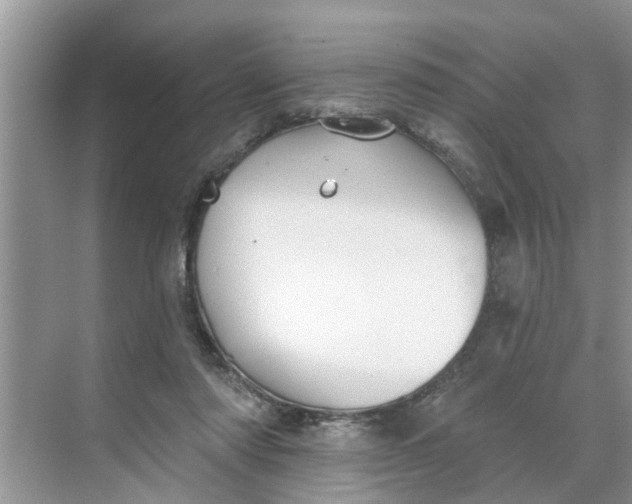 X0000068770310200605121708