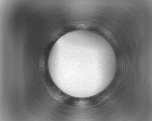 X0000068770312200605121708