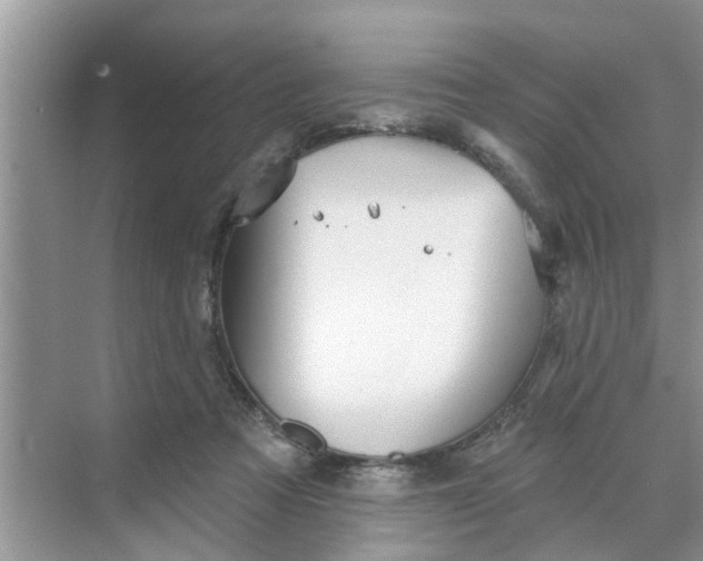 X0000068770313200605121708