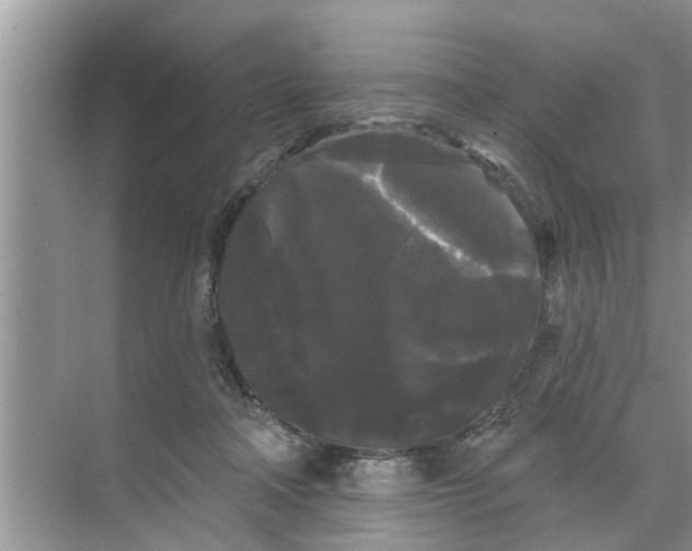 X0000068770314200605121708