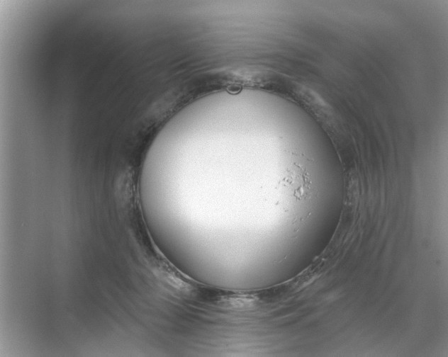 X0000068770318200605121708