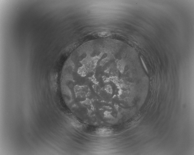 X0000068770319200605121708