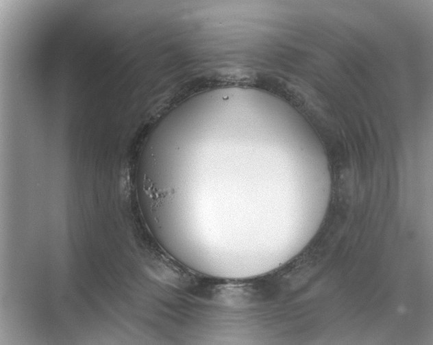 X0000068770320200605121708