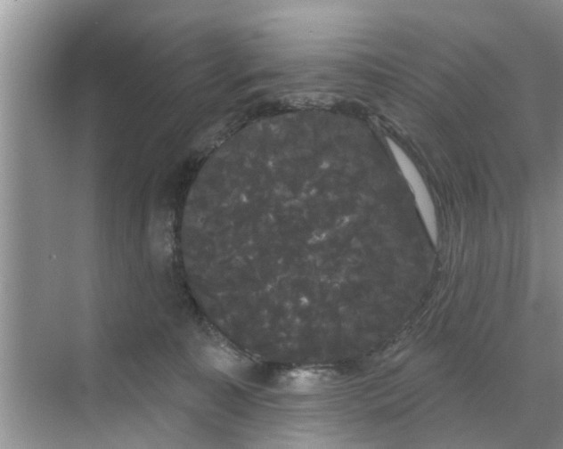 X0000068770323200605121708