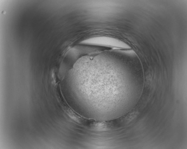 X0000068770325200605121708