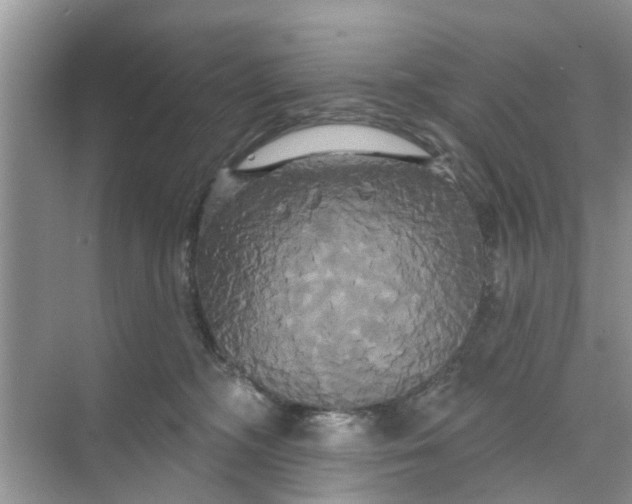 X0000068770326200605121708