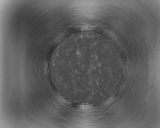 X0000068770327200605121708