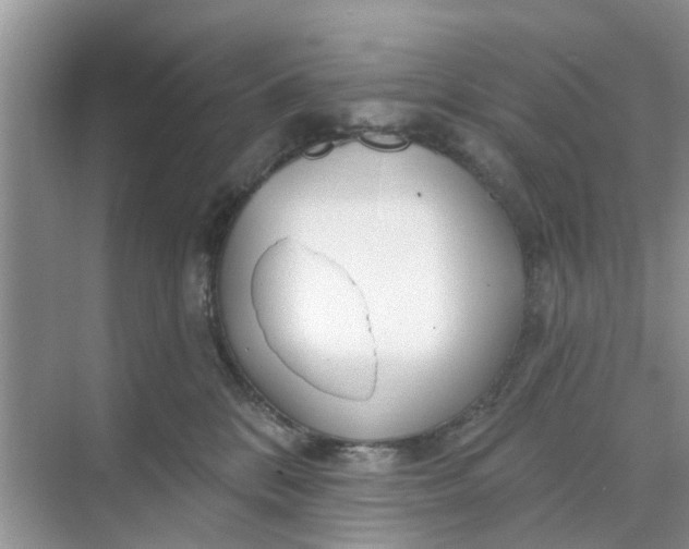 X0000068770328200605121708