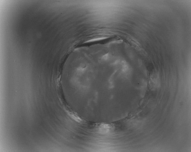 X0000068770330200605121708