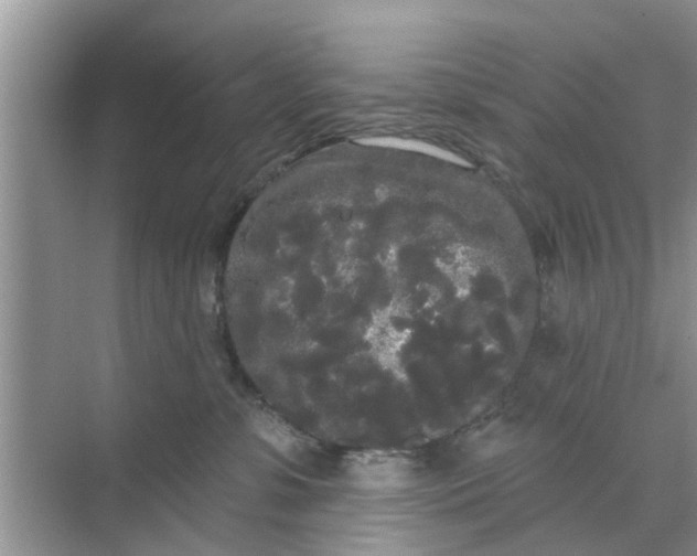 X0000068770331200605121708