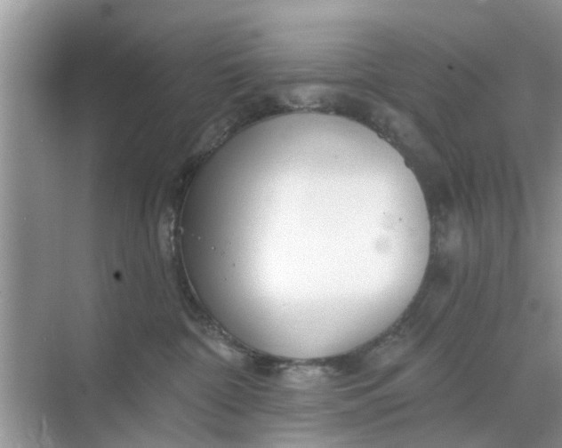 X0000068770332200605121708