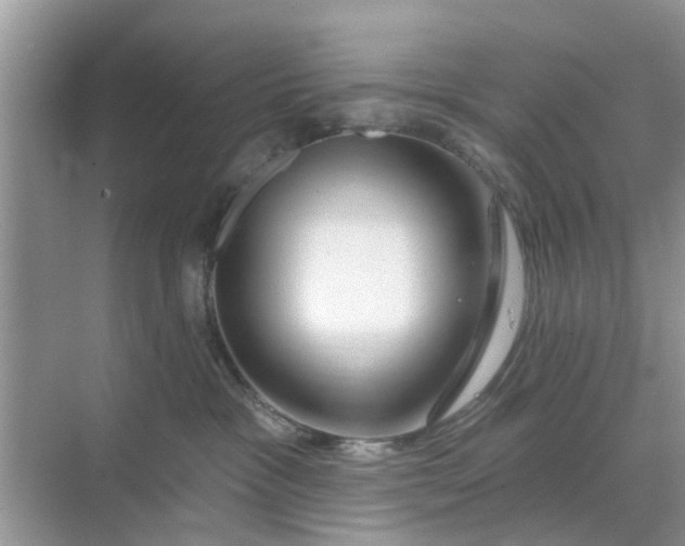 X0000068770333200605121708