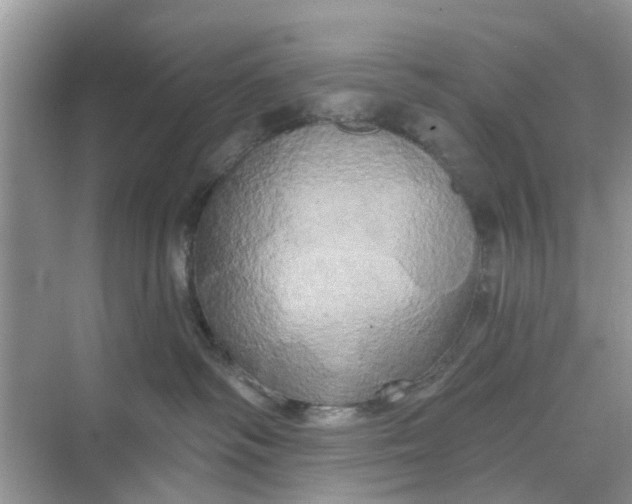 X0000068770334200605121708