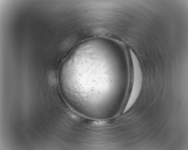 X0000068770335200605121708