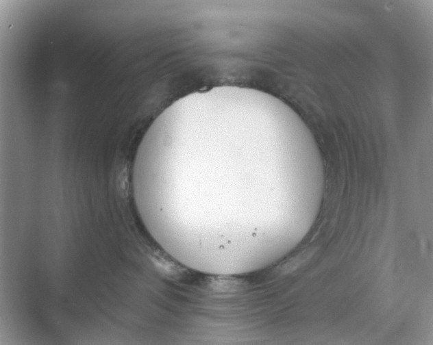 X0000068770336200605121708