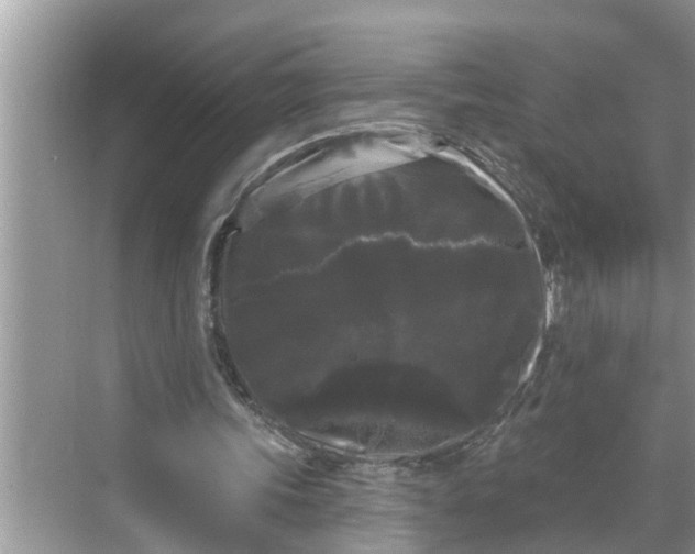 X0000068770339200605121707