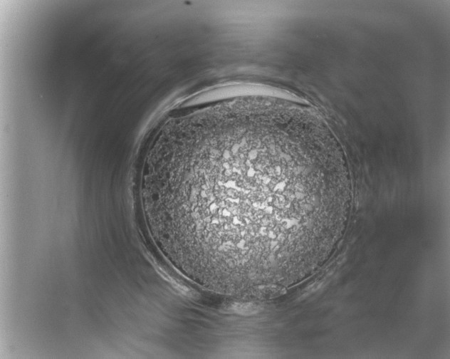 X0000068770341200605121707