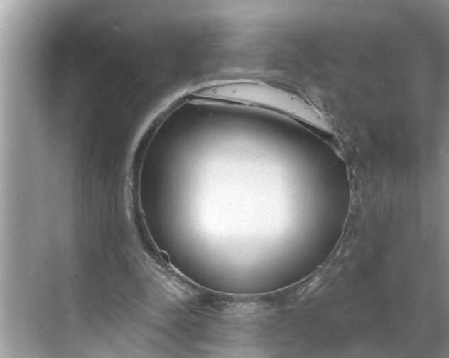 X0000068770342200605121707