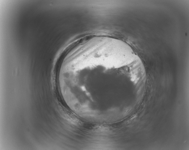 X0000068770343200605121707