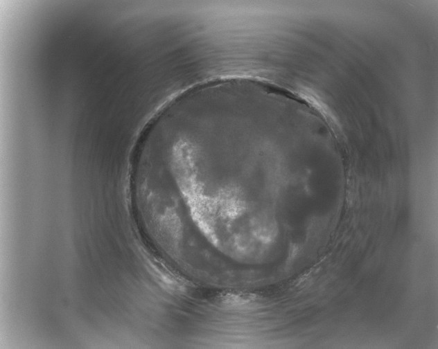 X0000068770346200605121707