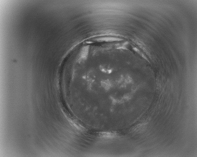 X0000068770347200605121707