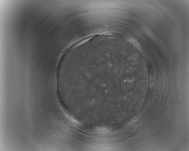 X0000068770349200605121707