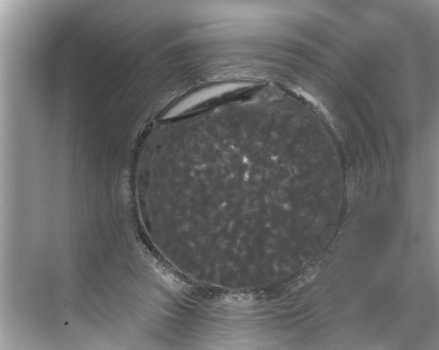 X0000068770353200605121707