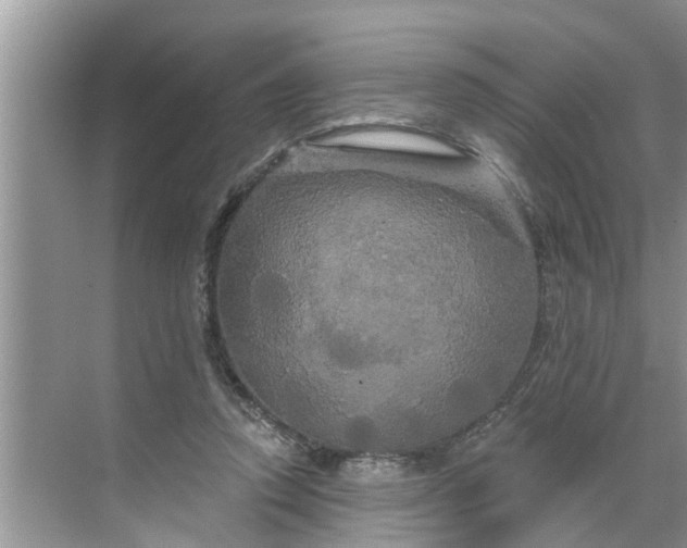 X0000068770354200605121707