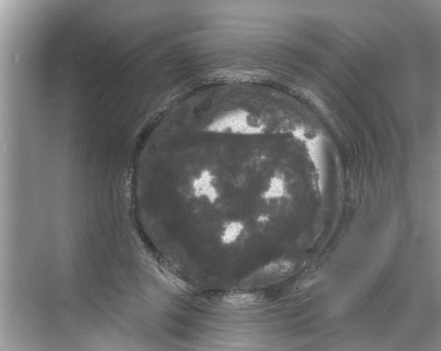 X0000068770357200605121707