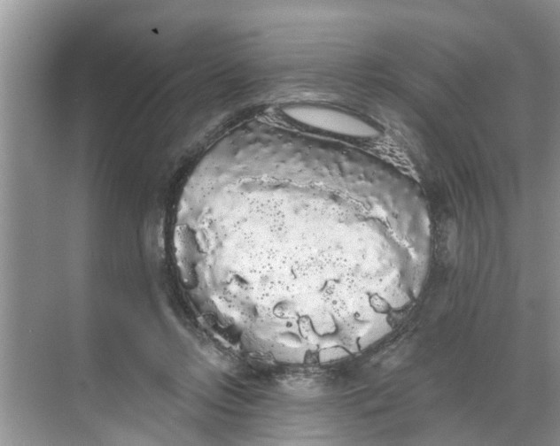 X0000068770358200605121707