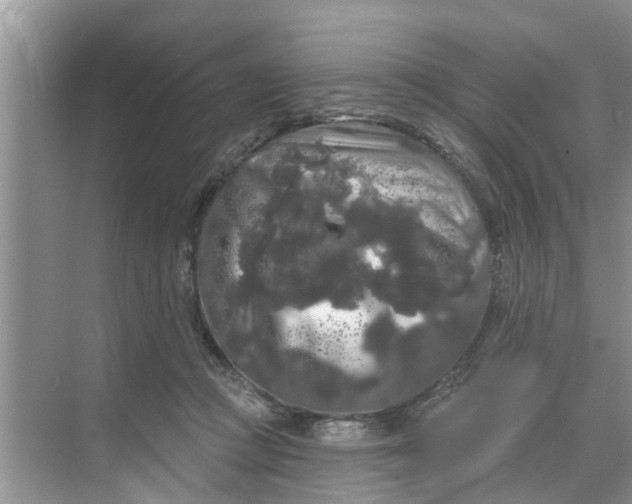 X0000068770361200605121707