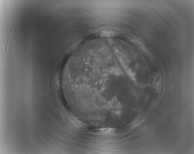 X0000068770363200605121708