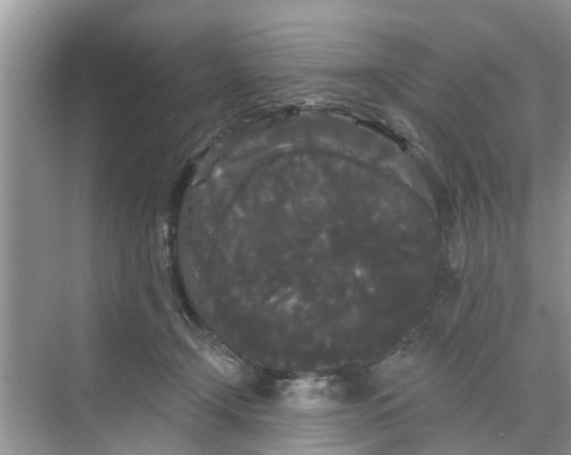 X0000068770366200605121708