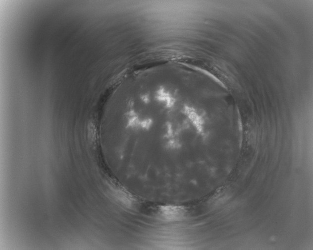 X0000068770371200605121708