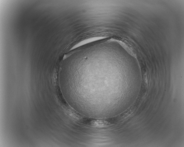 X0000068770372200605121708