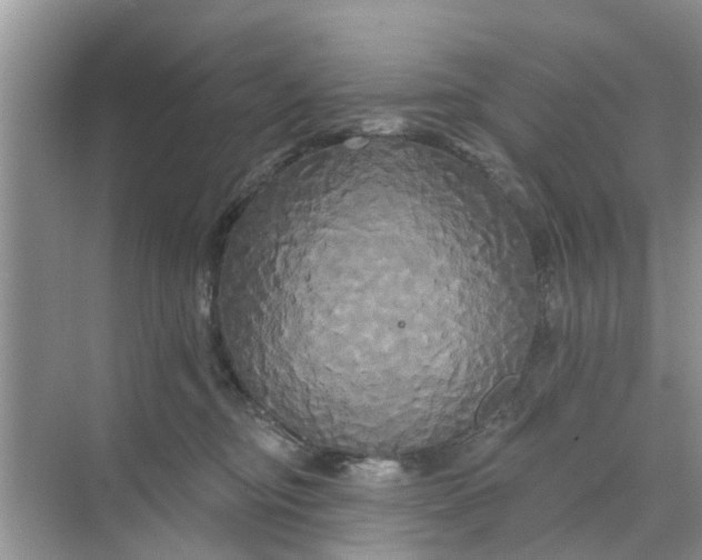 X0000068770374200605121708