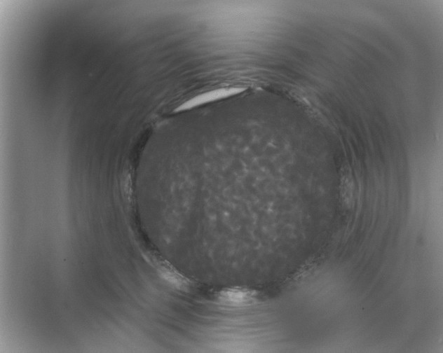 X0000068770375200605121708