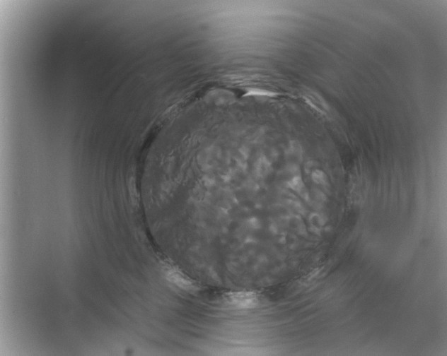 X0000068770377200605121708