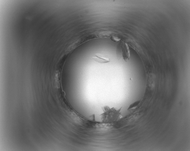 X0000068770378200605121708